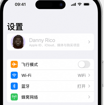 马湾镇appleID维修服务iPhone设置中Apple ID显示为灰色无法使用 