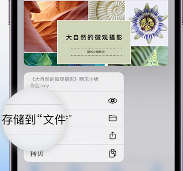 马湾镇apple维修中心分享iPhone文件应用中存储和找到下载文件