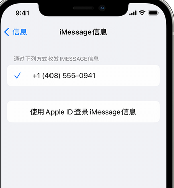 马湾镇apple维修iPhone上无法正常发送iMessage信息