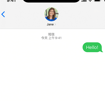 马湾镇apple维修iPhone上无法正常发送iMessage信息