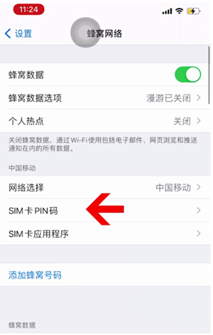 马湾镇苹果14维修网分享如何给iPhone14的SIM卡设置密码 