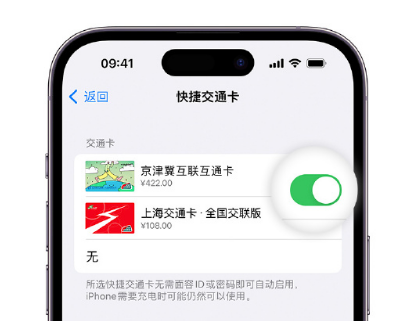 马湾镇apple维修点分享iPhone上更换Apple Pay快捷交通卡手绘卡面 