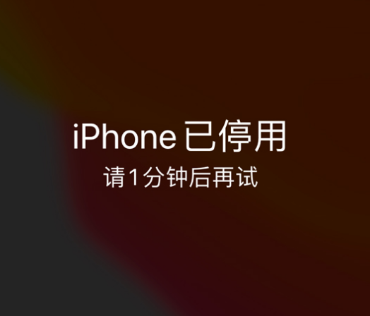 马湾镇苹果手机维修分享:iPhone 显示“不可用”或“已停用”怎么办？还能保留数据吗？ 