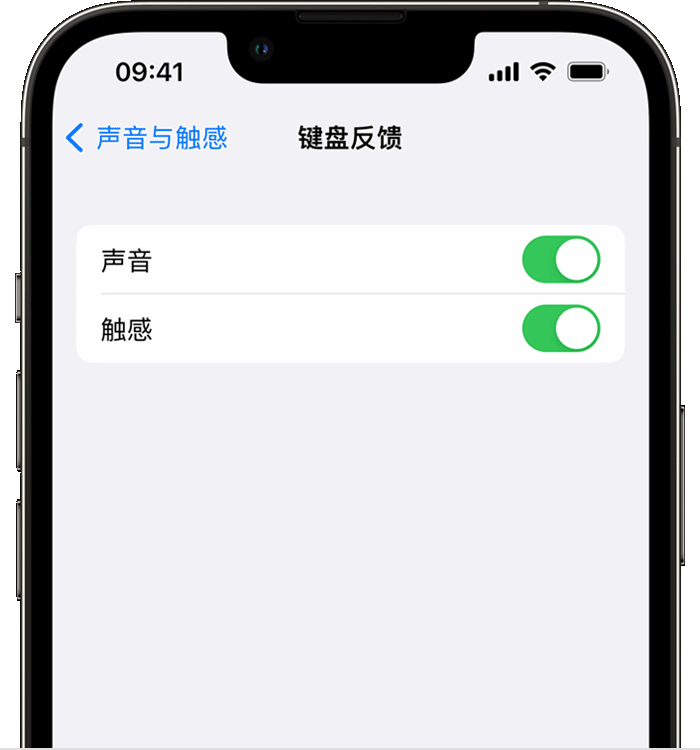 马湾镇苹果14维修店分享如何在 iPhone 14 机型中使用触感键盘 