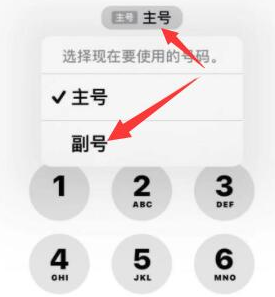 马湾镇苹果14维修店分享iPhone 14 Pro Max使用副卡打电话的方法 