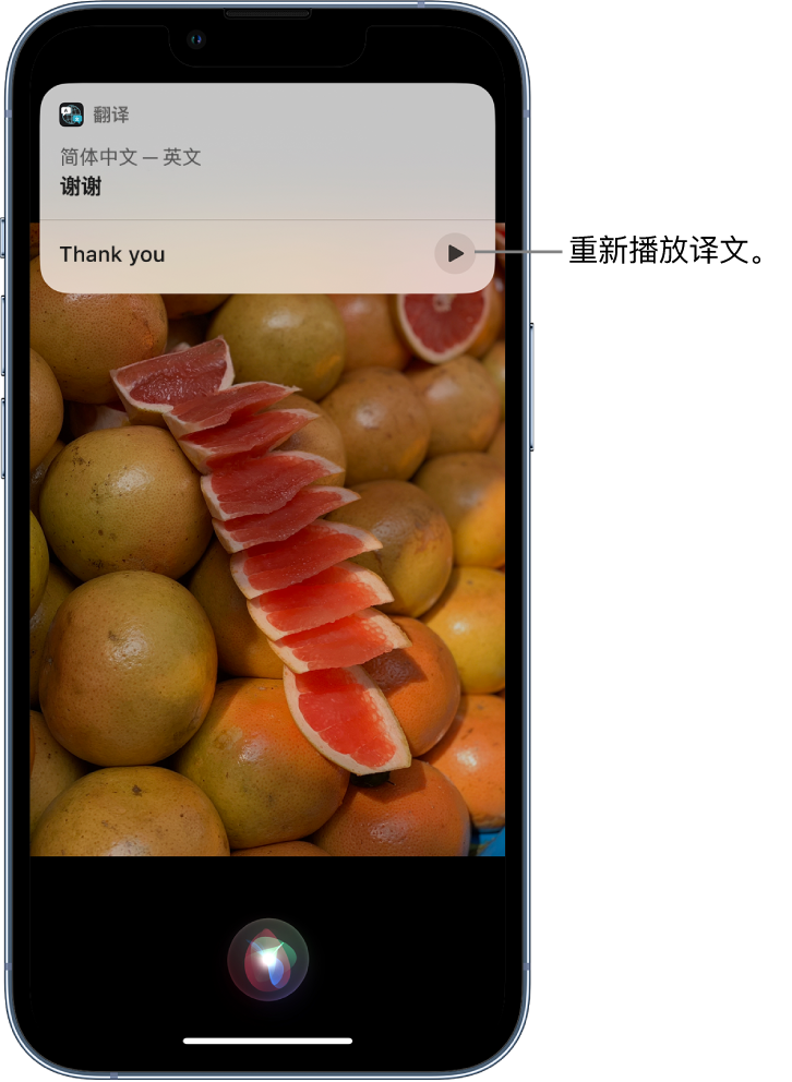 马湾镇苹果14维修分享 iPhone 14 机型中使用 Siri：了解 Siri 能帮你做什么 