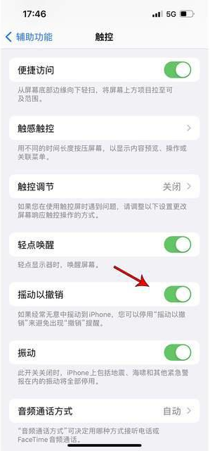 马湾镇苹果手机维修分享iPhone手机如何设置摇一摇删除文字 